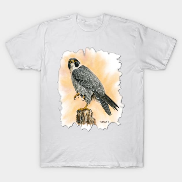 Peregrine T-Shirt by Dave Bartholet Wildlife Art